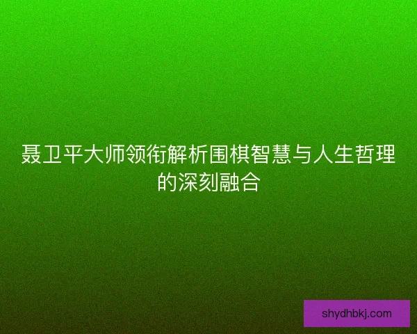 聂卫平大师领衔解析围棋智慧与人生哲理的深刻融合