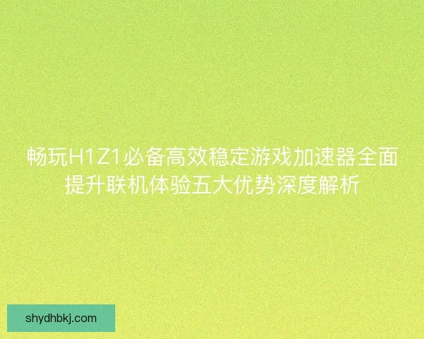 畅玩H1Z1必备高效稳定游戏加速器全面提升联机体验五大优势深度解析