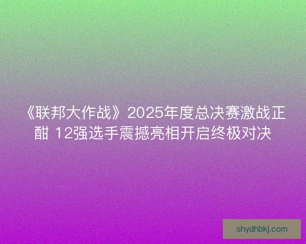 《联邦大作战》2025年度总决赛激战正酣 12强选手震撼亮相开启终极对决