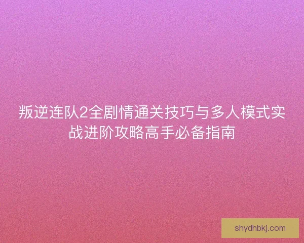 叛逆连队2全剧情通关技巧与多人模式实战进阶攻略高手必备指南