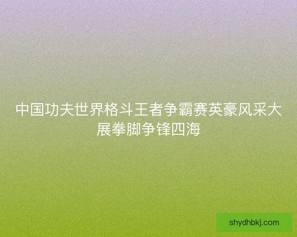 中国功夫世界格斗王者争霸赛英豪风采大展拳脚争锋四海