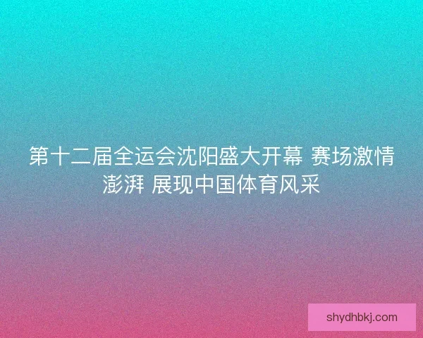 第十二届全运会沈阳盛大开幕 赛场激情澎湃 展现中国体育风采