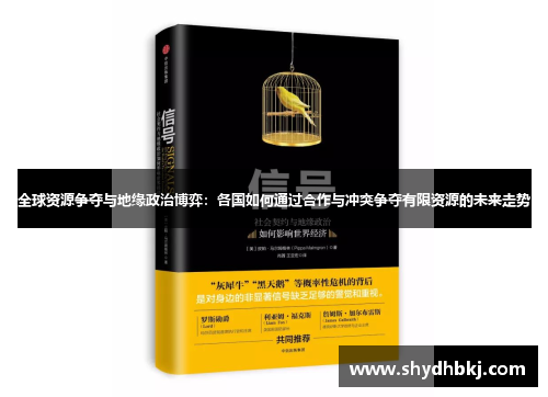 全球资源争夺与地缘政治博弈：各国如何通过合作与冲突争夺有限资源的未来走势