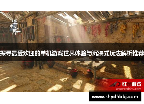探寻最受欢迎的单机游戏世界体验与沉浸式玩法解析推荐