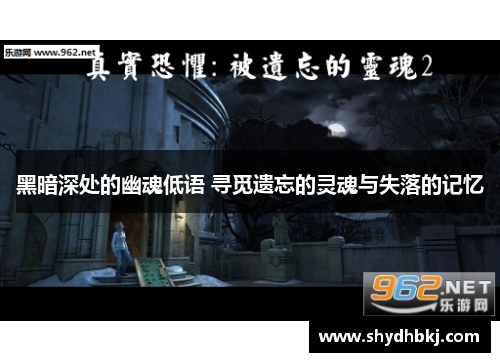 黑暗深处的幽魂低语 寻觅遗忘的灵魂与失落的记忆