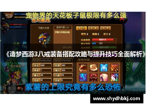 《造梦西游3八戒装备搭配攻略与提升技巧全面解析》