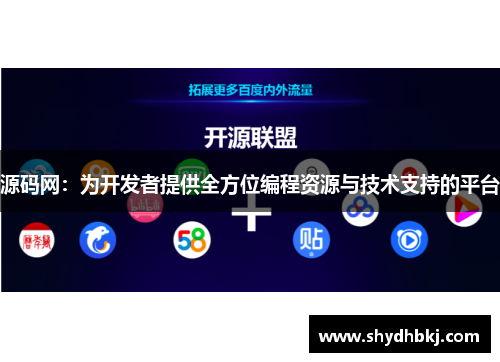 源码网：为开发者提供全方位编程资源与技术支持的平台