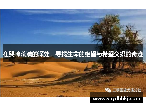 在哭嚎荒漠的深处，寻找生命的绝望与希望交织的奇迹