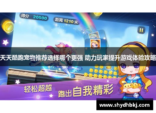 天天酷跑宠物推荐选择哪个更强 助力玩家提升游戏体验攻略
