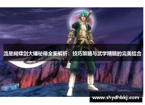 流星蝴蝶剑大锤秘籍全面解析：技巧策略与武学精髓的完美结合