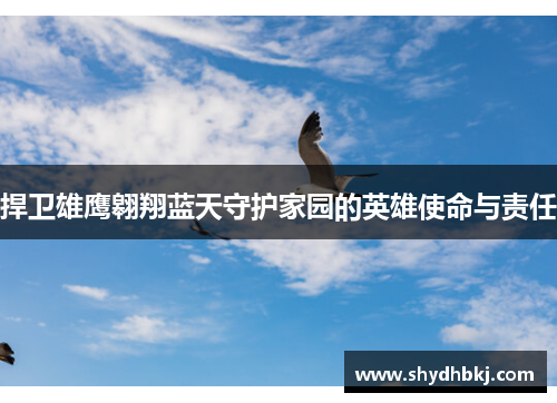捍卫雄鹰翱翔蓝天守护家园的英雄使命与责任
